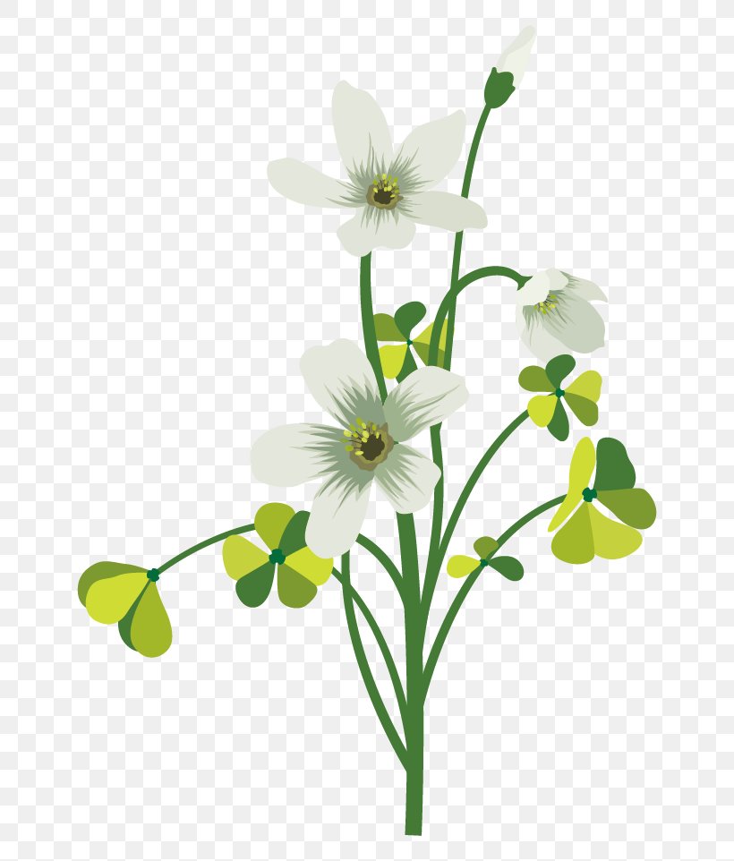Flower Drawing Four-leaf Clover, PNG, 680x962px, Flower, Animation, Branch, Chrysanthemum Indicum, Clover Download Free