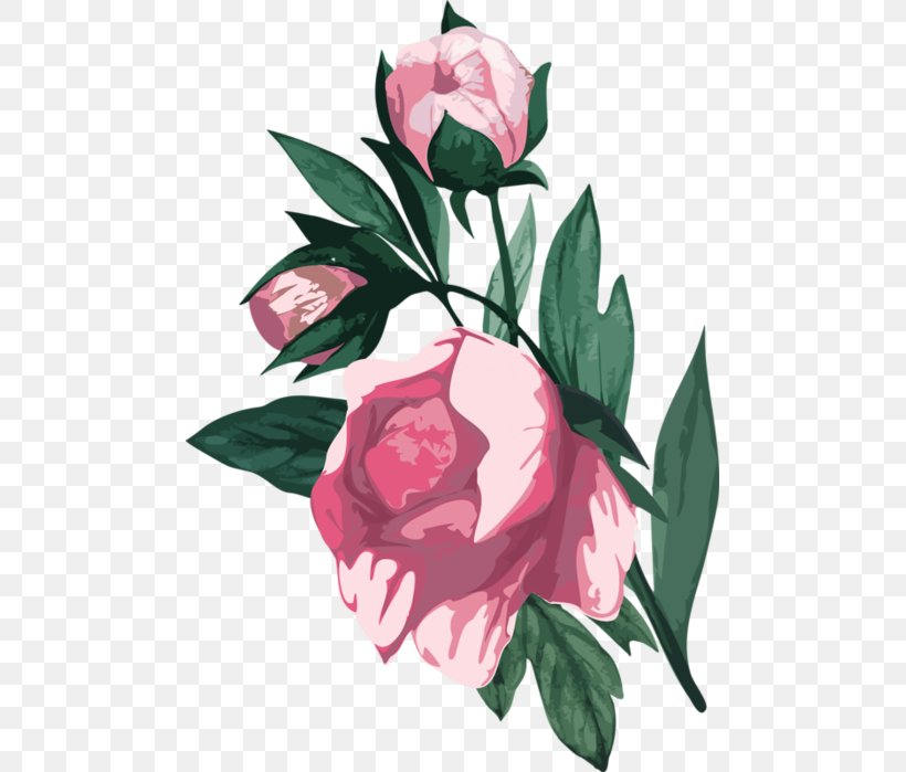 Garden Roses Clip Art Flower, PNG, 483x699px, Garden Roses, Anthurium, Botany, Bud, Cabbage Rose Download Free