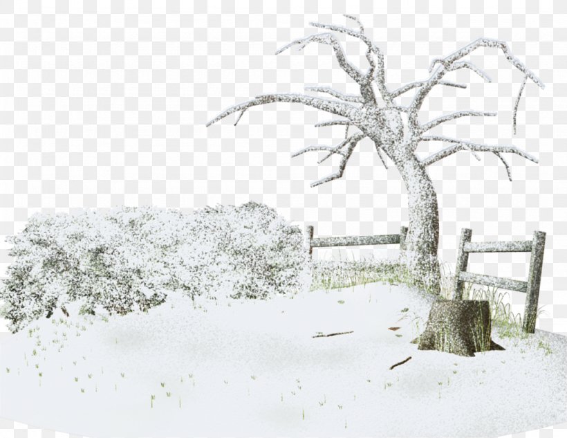 Snow Winter Storm Tree, PNG, 1024x791px, Snow, Autumn, Blizzard, Branch, Freezing Download Free