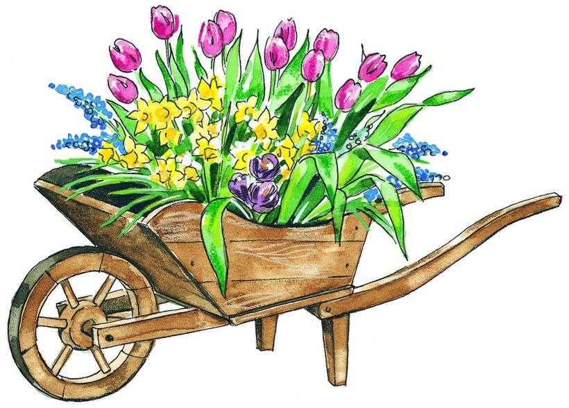 Flower Clip Art, PNG, 1347x967px, Flower, April Shower, Blog, Cut Flowers, Drawing Download Free