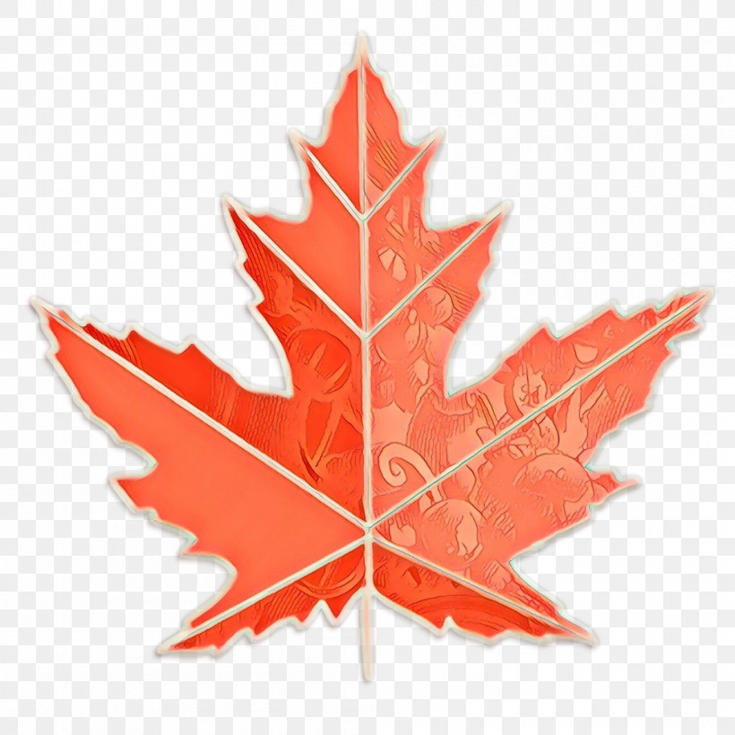 Maple Leaf, PNG, 1000x1000px, Leaf, Black Maple, Maple, Maple Leaf, Plane Download Free