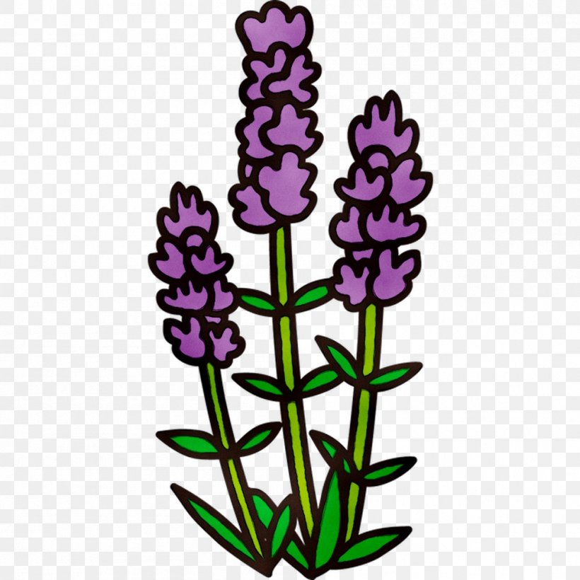 English Lavender Plant Stem Cut Flowers Purple Clip Art, PNG, 999x999px, English Lavender, Cut Flowers, Flower, Flowering Plant, Lavender Download Free