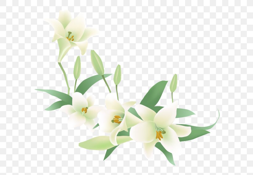 Flower Jasmine Euclidean Vector Clip Art, PNG, 652x567px, Flower, Branch, Cattleya, Color, Dendrobium Download Free