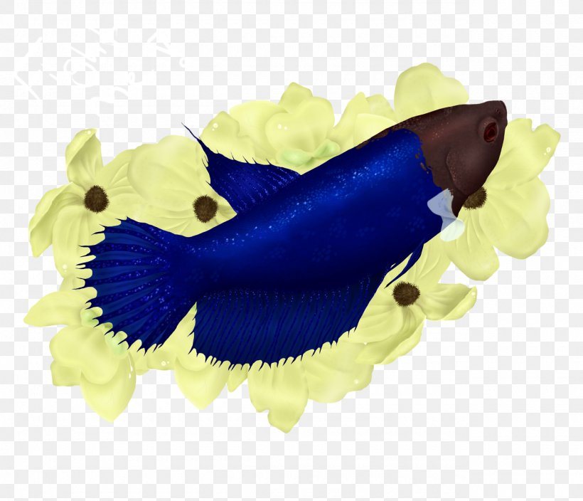 Marine Mammal Marine Biology Cobalt Blue Electric Blue Organism, PNG, 1280x1099px, Marine Mammal, Biology, Blue, Cobalt, Cobalt Blue Download Free