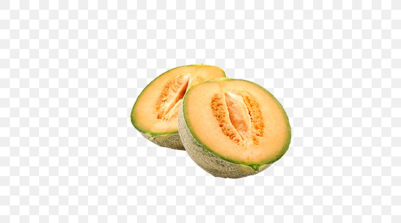 Cantaloupe Citrullus Lanatus Melon Fruit Auglis, PNG, 584x456px, Cantaloupe, Auglis, Citrullus Lanatus, Cucumber, Cucumber Gourd And Melon Family Download Free