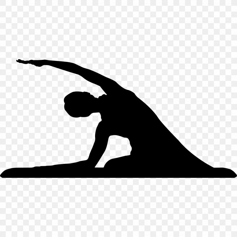 Naga Pilates Prenatal Care Pregnancy Physical Fitness, PNG, 1438x1438px, Pilates, Area, Balance, Birth, Black Download Free