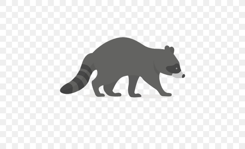 Raccoon Bear Animal, PNG, 500x500px, Raccoon, Animal, Animal Track, Animation, Bear Download Free