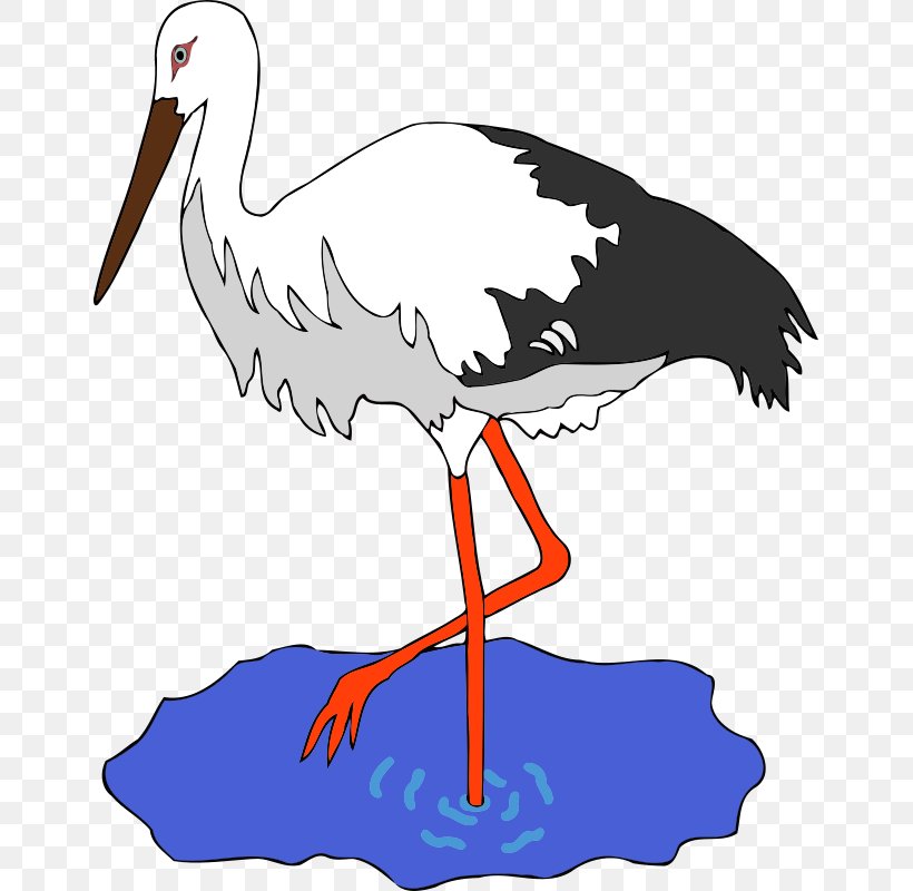 Bird White Stork Clip Art, PNG, 651x800px, Bird, Artwork, Aviary, Beak, Charadriiformes Download Free
