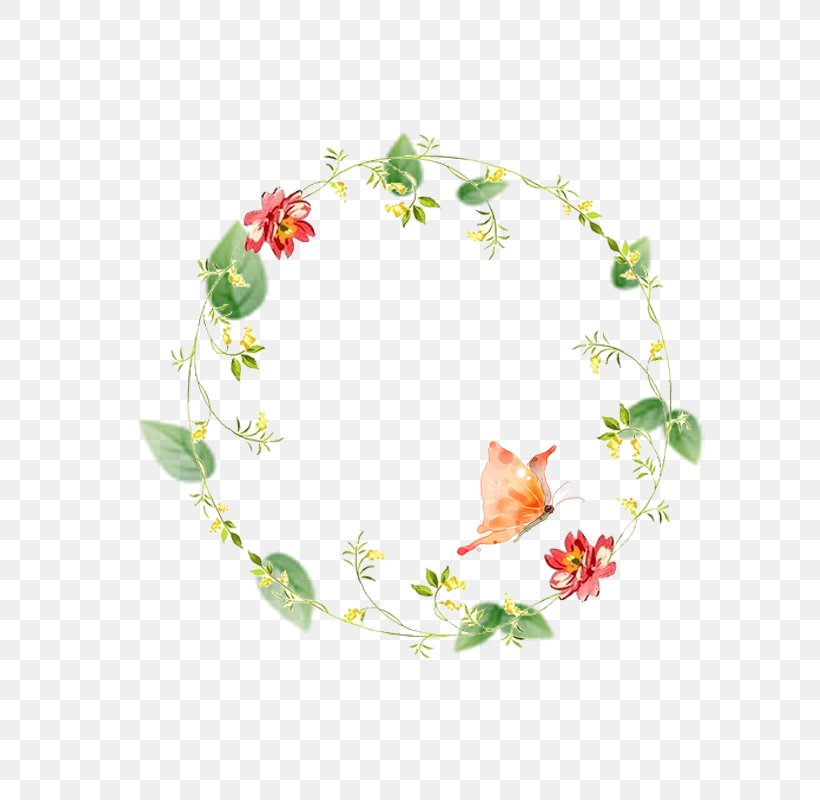Disk Circle Flower Clip Art, PNG, 800x800px, Disk, Branch, Color, Drawing, Floral Design Download Free