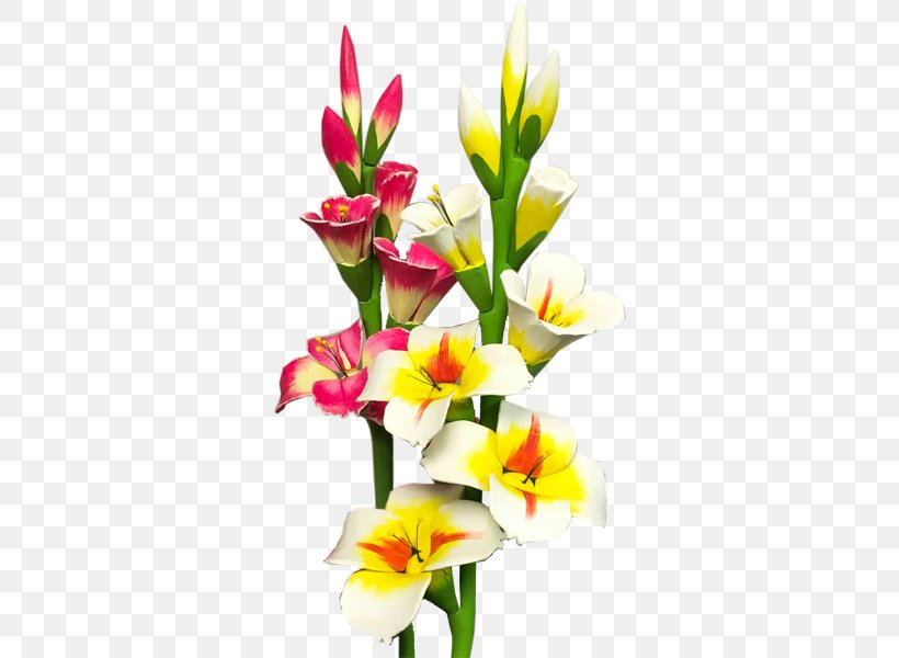 Gladiolus Flower Bouquet, PNG, 600x600px, Gladiolus, Artificial Flower, Canna Family, Canna Lily, Color Download Free