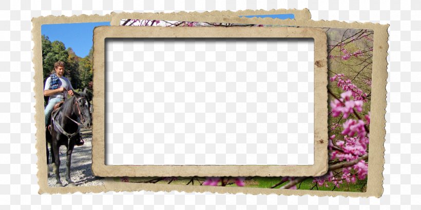 Picture Frames Square Meter Square Meter, PNG, 1000x500px, Picture Frames, Media, Meter, Picture Frame, Rectangle Download Free