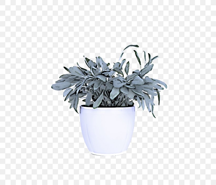 White Flowerpot Echeveria Flower Plant, PNG, 700x700px, White, Echeveria, Flower, Flowering Plant, Flowerpot Download Free