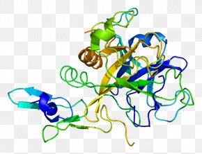 Prolidase Deficiency PEPD Enzyme Dipeptidase Pyrococcus Furiosus, PNG ...