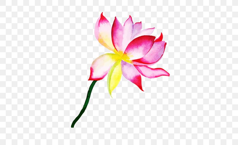 Lily Flower Cartoon, PNG, 500x500px, Watercolor Painting, Aquatic Plant, Artist, Cartoon, Flower Download Free