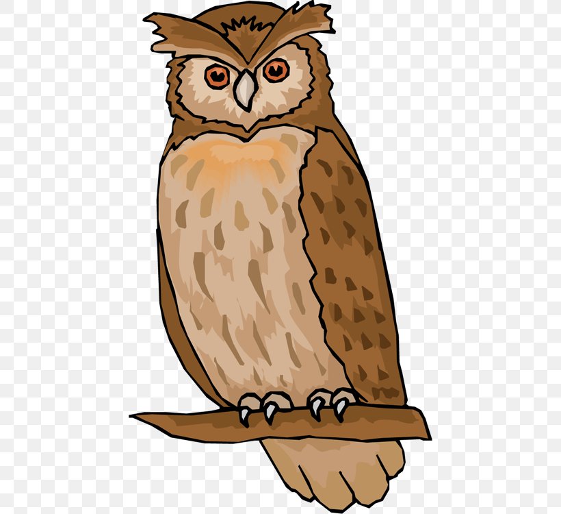 Owl Free Content Clip Art, PNG, 444x750px, Owl, Animation, Beak, Bird, Bird Of Prey Download Free