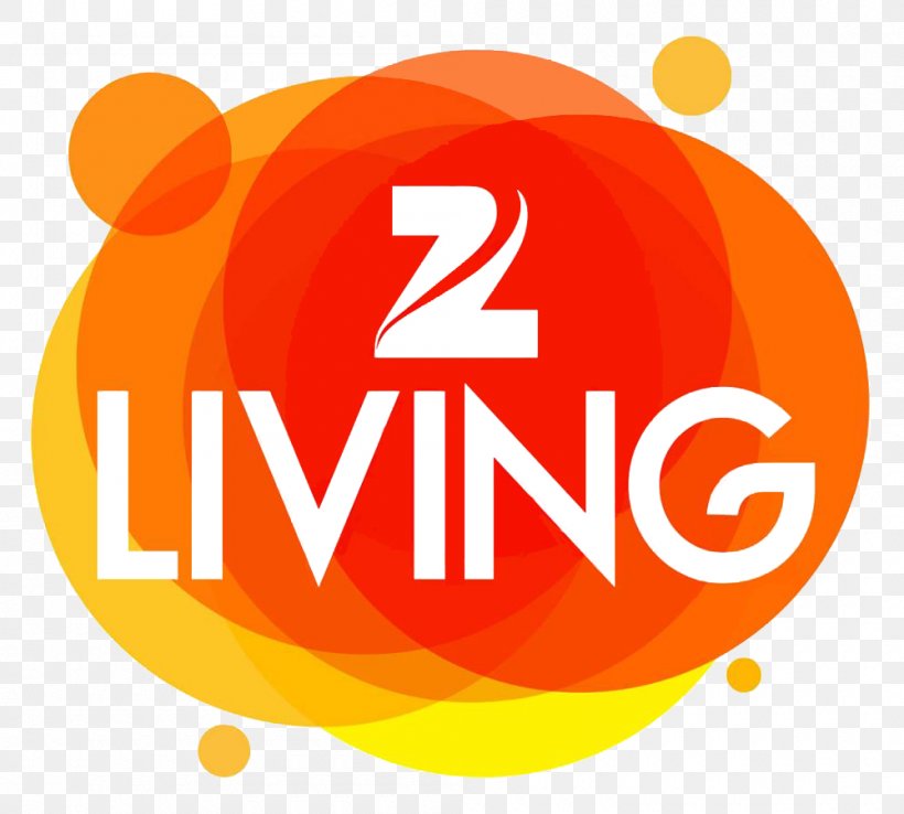 Zee Entertainment Enterprises Z Living Zee Living Zee TV Television, PNG, 1000x900px, Zee Entertainment Enterprises, Brand, Logo, Orange, Satellite Television Download Free