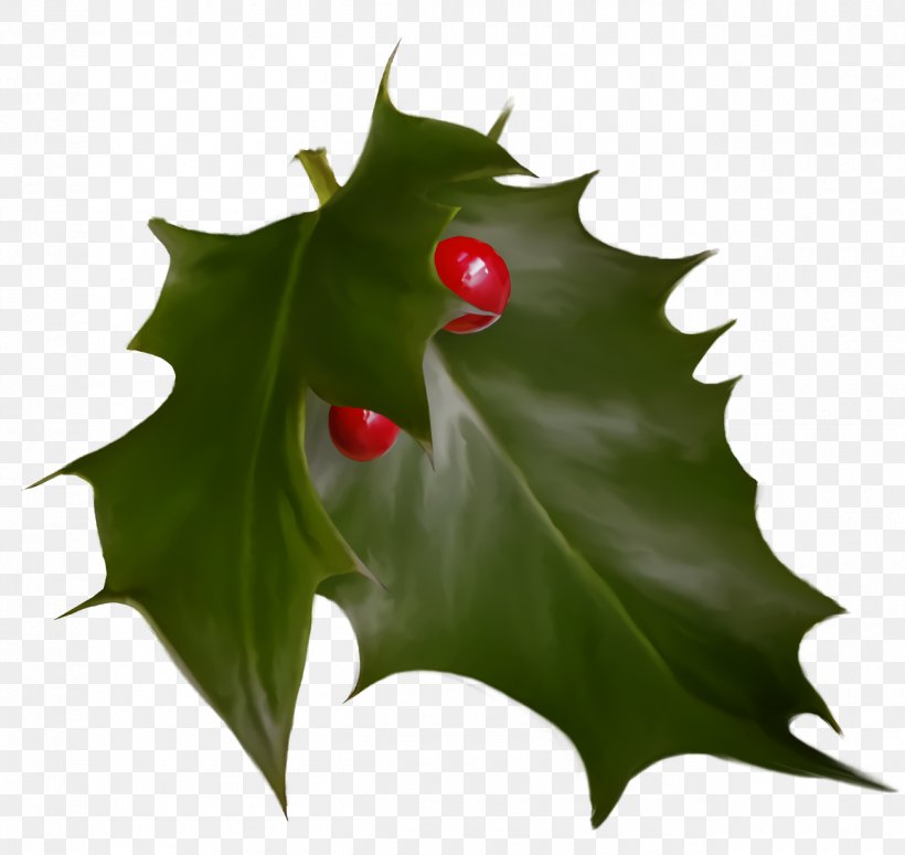 Christmas Holly Ilex Holly, PNG, 1300x1230px, Christmas Holly, American Holly, Christmas, Flower, Green Download Free