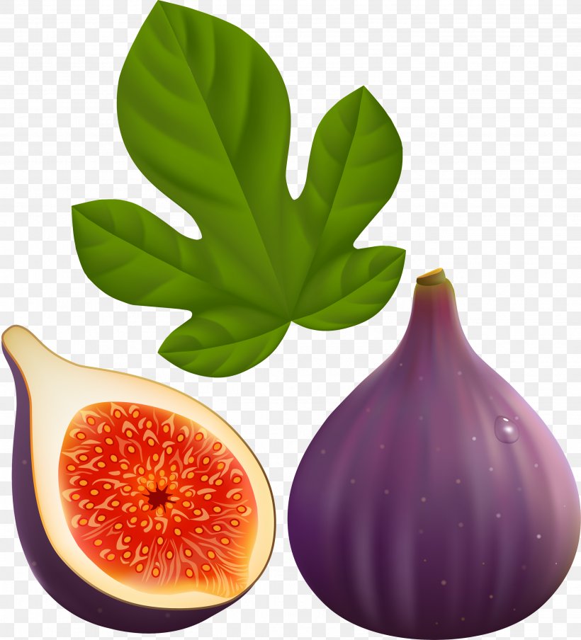 Common Fig Leaf Fruit Plant Natural Foods, PNG, 2721x3000px, Common Fig, Fig, Flower, Food, Fruit Download Free