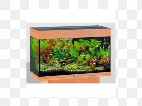 Aquarium - Juwel Aquarium Filters Maple Aquatics Fishkeeping PNG