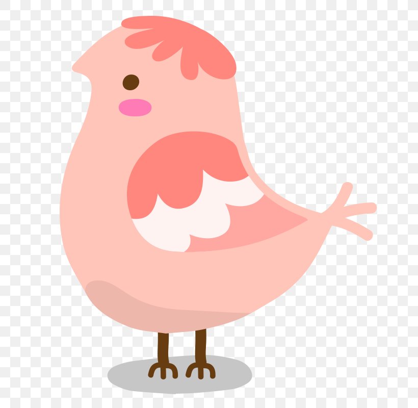 Chicken Bird Vector Graphics Illustration, PNG, 800x800px, Chicken, Animal, Animation, Art, Beak Download Free