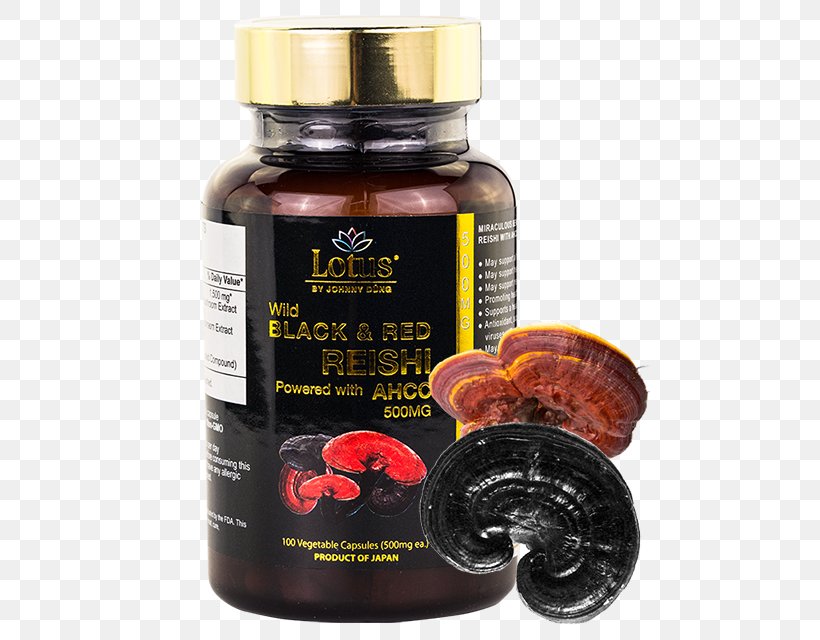 Dietary Supplement Lingzhi Mushroom Shiitake Beta-glucan, PNG, 480x640px, Dietary Supplement, Betaglucan, Chaga Mushroom, Edible Mushroom, Extract Download Free