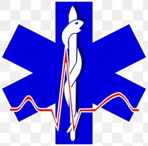 Star Of Life Emergency Medical Technician Clip Art, PNG, 1000x1076px ...