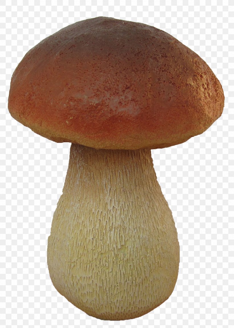 Pleurotus Eryngii Mushroom Boletus Edulis Fungus Amanita, PNG, 1378x1934px, Pleurotus Eryngii, Amanita, Article, Artikel, Aspen Mushroom Download Free