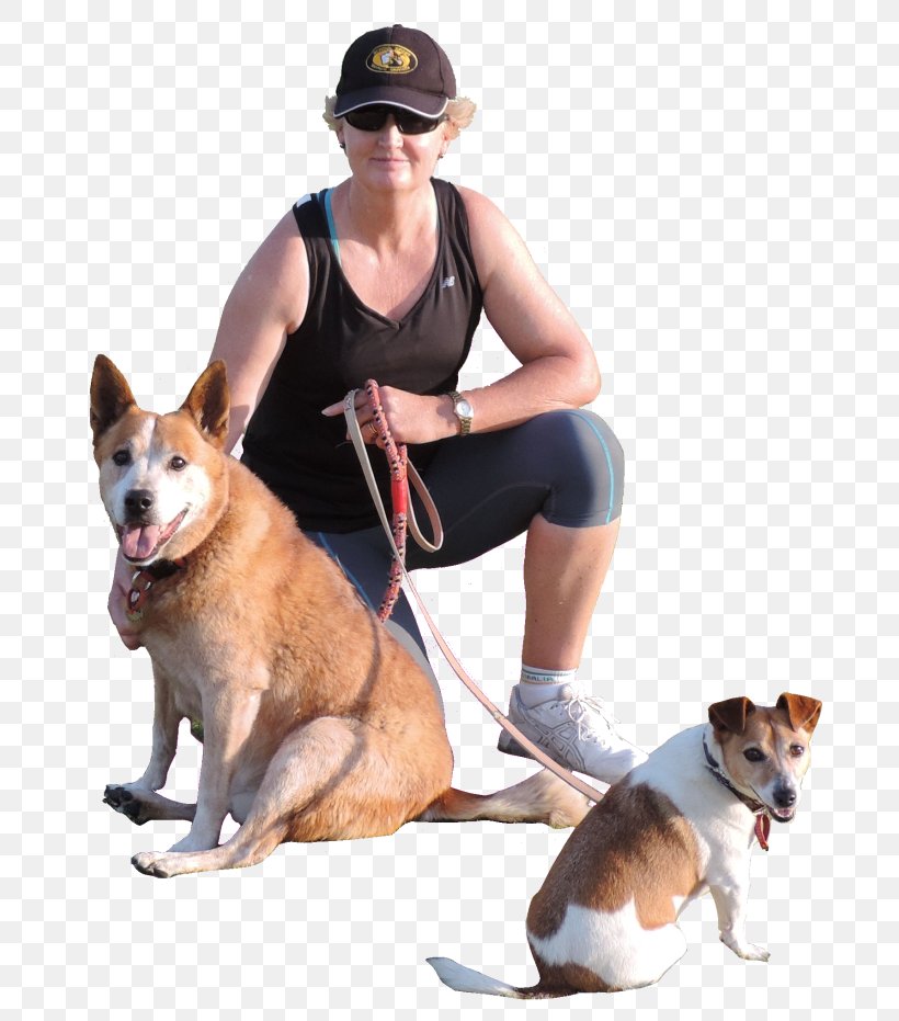 Dog Breed Companion Dog Leash Dog Walking, PNG, 700x931px, Dog Breed, Breed, Companion Dog, Dog, Dog Breed Group Download Free