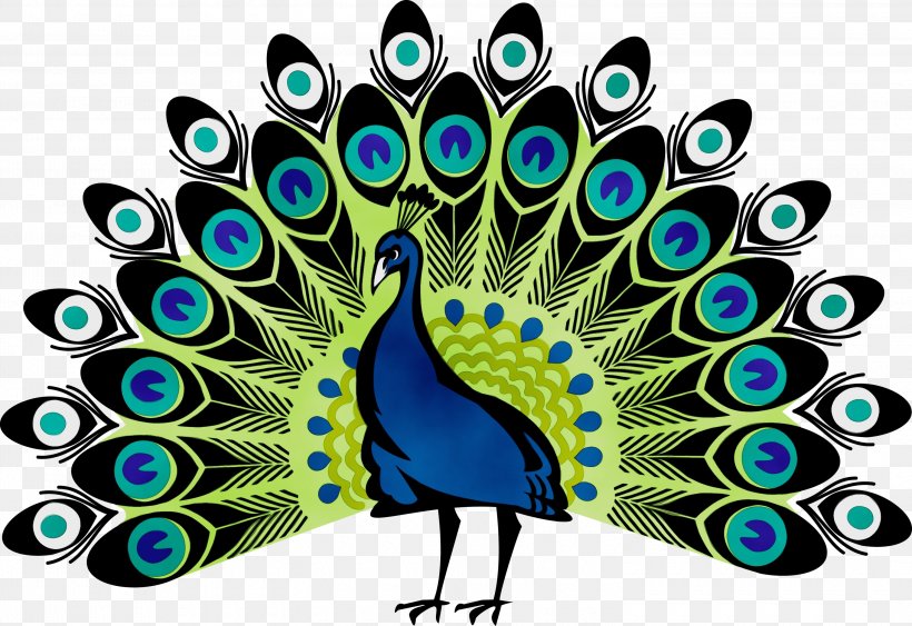 Peacock Drawing, PNG, 3000x2063px, Peafowl, Beak, Bird, Drawing, Electric Blue Download Free