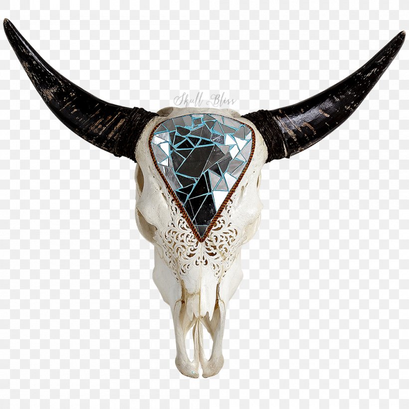 Texas Longhorn English Longhorn Animal Skulls, PNG, 1000x1000px, Texas Longhorn, Animal Skulls, Bone, Brain, Bull Download Free