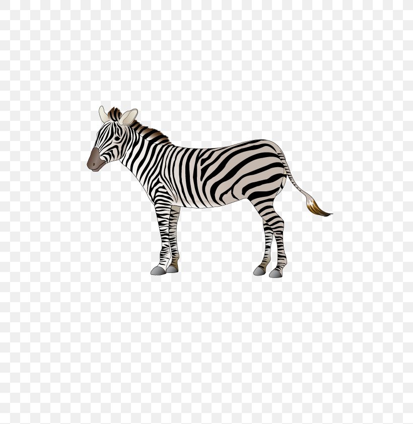 Cartoon Logo Zebra, PNG, 595x842px, Cartoon, Black And White, Creative Work, Head, Horse Like Mammal Download Free