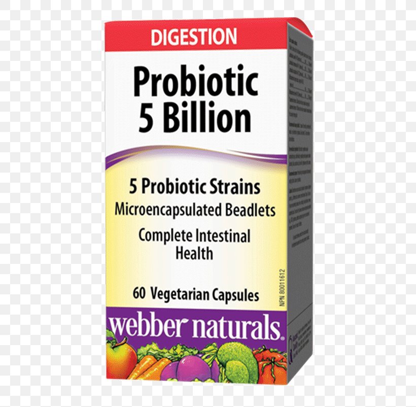 Dietary Supplement Probiotic Lactobacillus Acidophilus Health Gastrointestinal Tract, PNG, 802x802px, Dietary Supplement, Bacteria, Digestion, Gastrointestinal Tract, Gut Flora Download Free