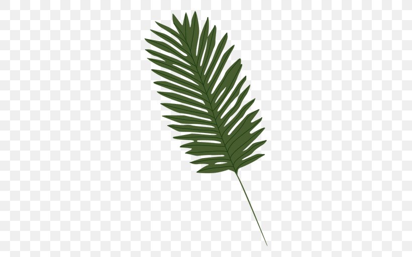 Leaf Arecaceae Clip Art, PNG, 512x512px, Leaf, Arecaceae, Arecales, Drawing, Palm Tree Download Free