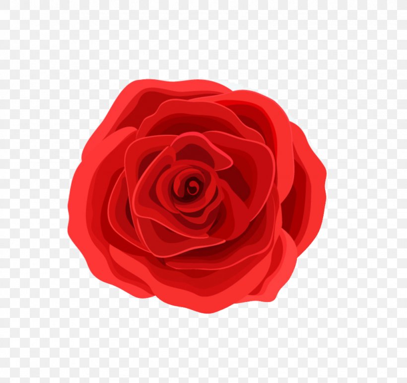 Valentines Day Rose Happiness, PNG, 1024x964px, Valentines Day, Cut Flowers, Drawing, Flower, Flowering Plant Download Free