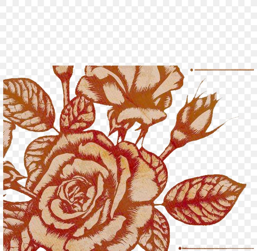 Beach Rose Rosaceae, PNG, 800x800px, Beach Rose, Art, Designer, Flora, Floral Design Download Free