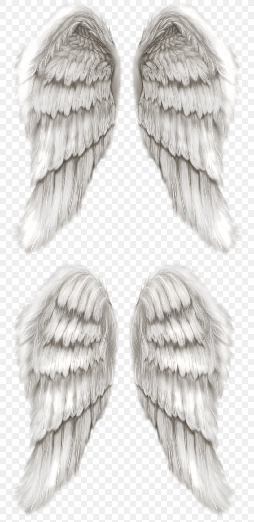 Cherub Angel Wing Angel Wing, PNG, 1492x3071px, Cherub, Angel, Black And White, Drawing, Feather Download Free