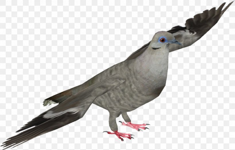 Dove Bird, PNG, 912x582px, Pigeons And Doves, Animal Figure, Beak, Bird, Cockatiel Download Free