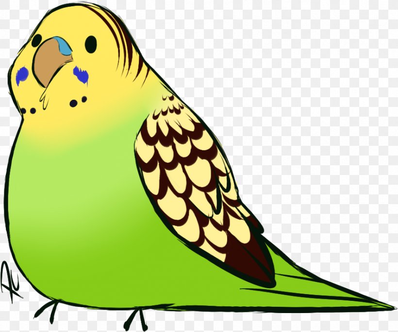 Bird Parrot, PNG, 883x736px, Budgerigar, Beak, Bird, Budgie, Drawing Download Free