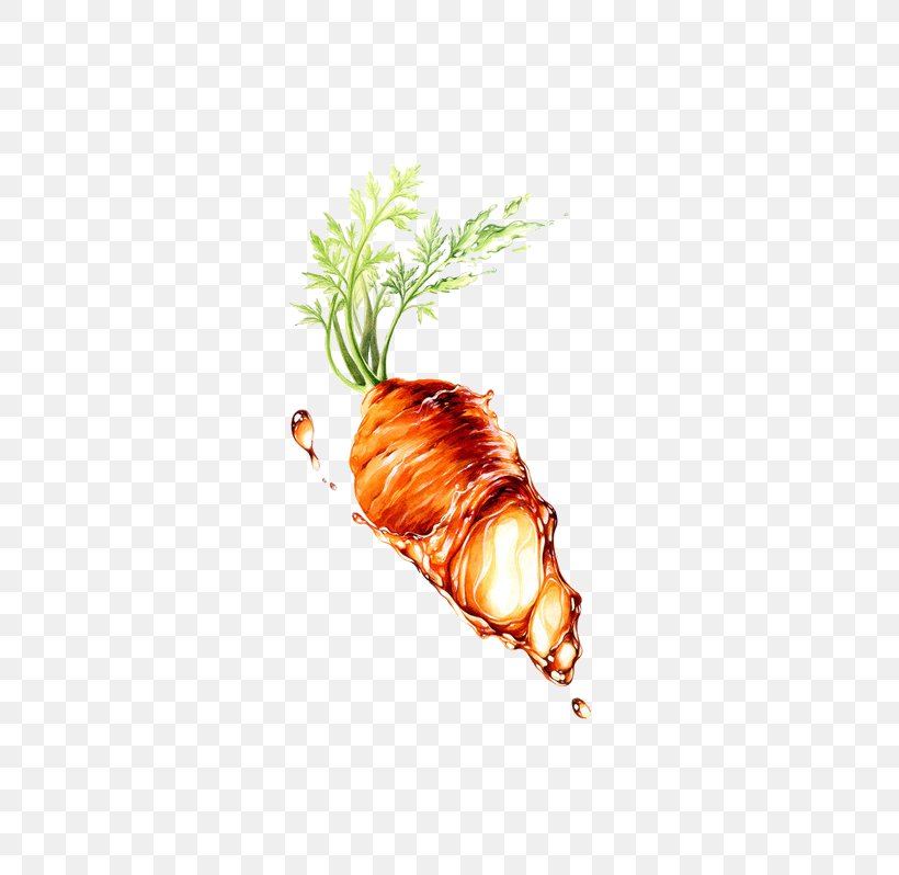 Carrot Seed Oil Vegetable, PNG, 739x798px, Carrot, Carrot Seed Oil, Daucus Carota, Food, Frozen Film Series Download Free
