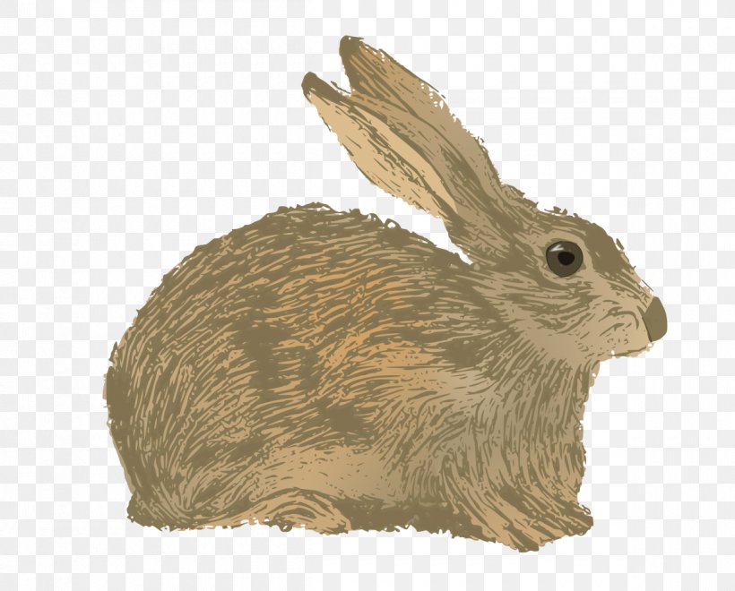 Domestic Rabbit Hare Vector Graphics Illustration, PNG, 1200x967px, Domestic Rabbit, Animal, Animal Figure, Black Tailed Jackrabbit, Brown Hare Download Free