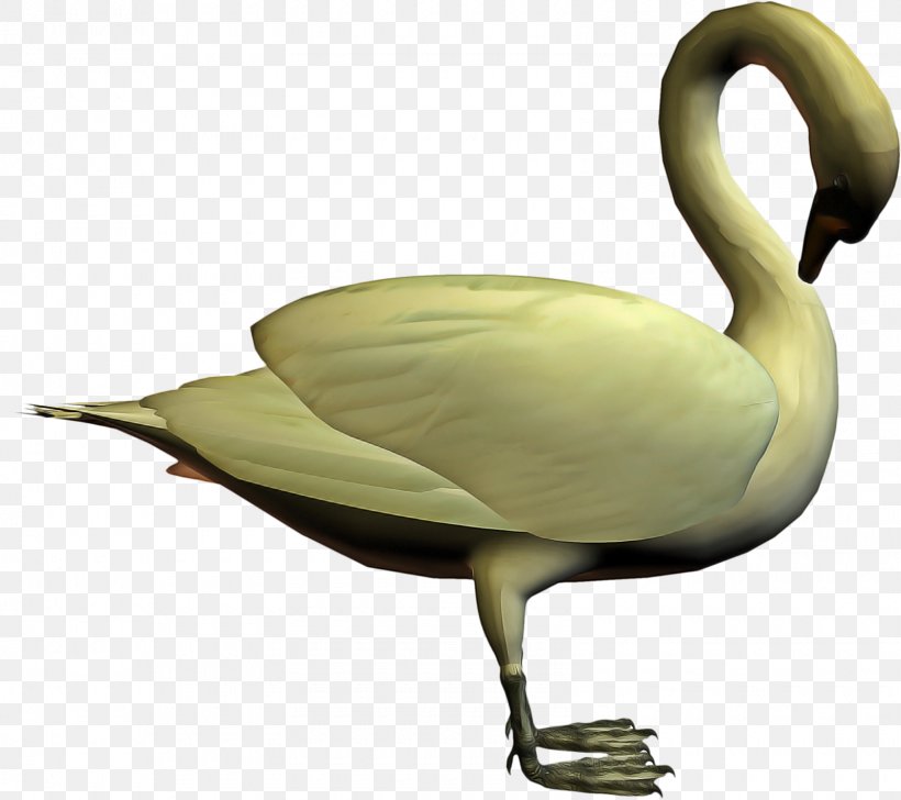 Duck Cartoon, PNG, 1600x1422px, Goose, Animal, Beak, Bird, Domestic Goose Download Free