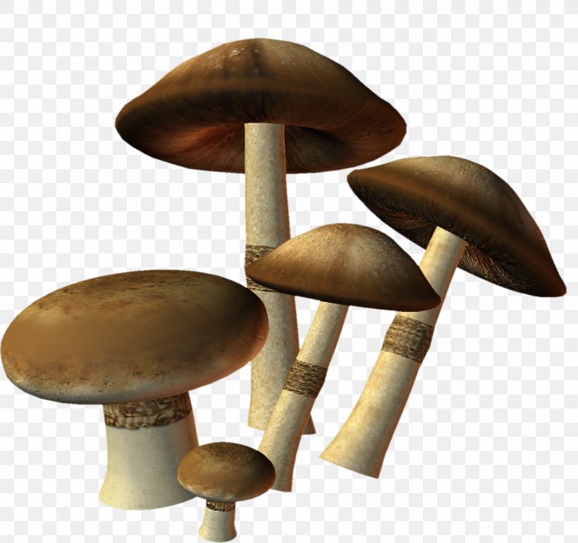 Edible Mushroom Agaricus Clip Art, PNG, 1301x1224px, Mushroom, Agaricus, Edible Mushroom, Furniture, Preview Download Free