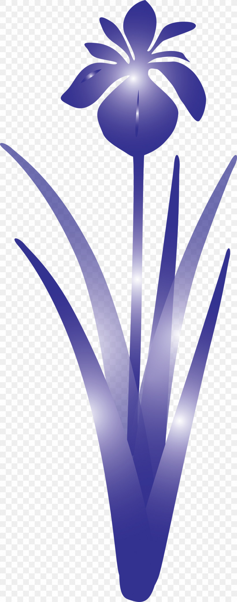 Iris Flower Spring Flower, PNG, 1183x3000px, Iris Flower, Blue, Crocus, Electric Blue, Flower Download Free