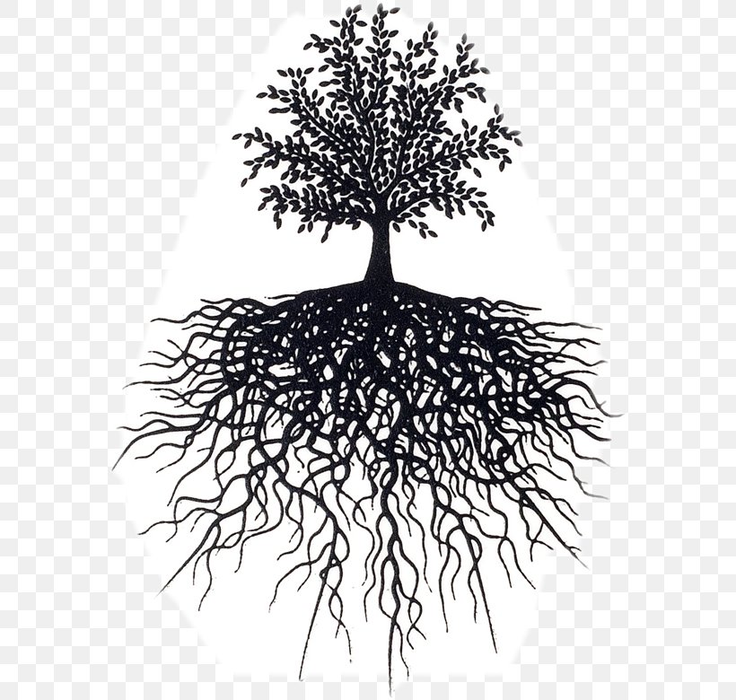 Reading The Allegorical Intertext Tree Life Design Editorial Root, PNG, 579x780px, Tree, Abiogenesis, Biology, Black And White, Branch Download Free