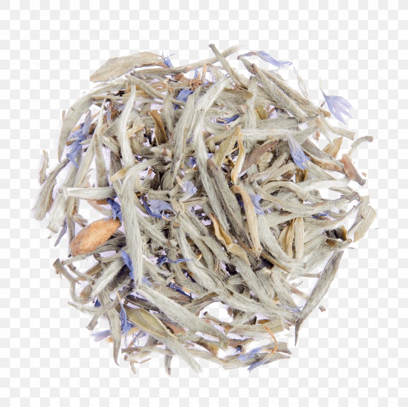 Whitebait Baihao Yinzhen Anchovies As Food Anchovy, PNG, 1600x1600px, Whitebait, Anchovies As Food, Anchovy, Anchovy Food, Animal Source Foods Download Free