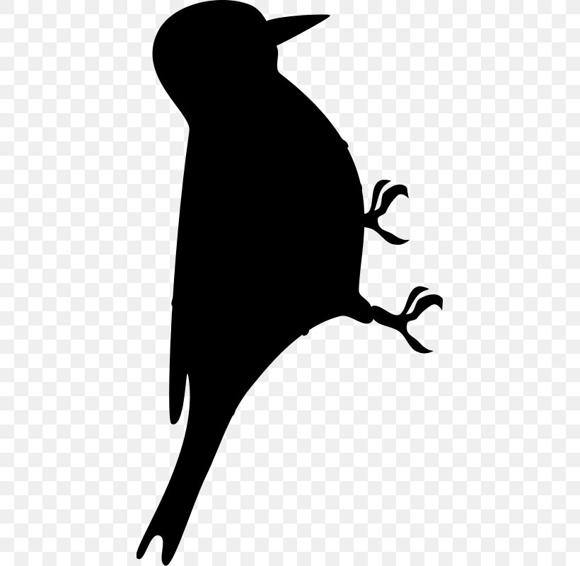 Beak Clip Art Silhouette Headgear Black M, PNG, 433x800px, Beak, Black M, Blackandwhite, Headgear, Marine Mammal Download Free