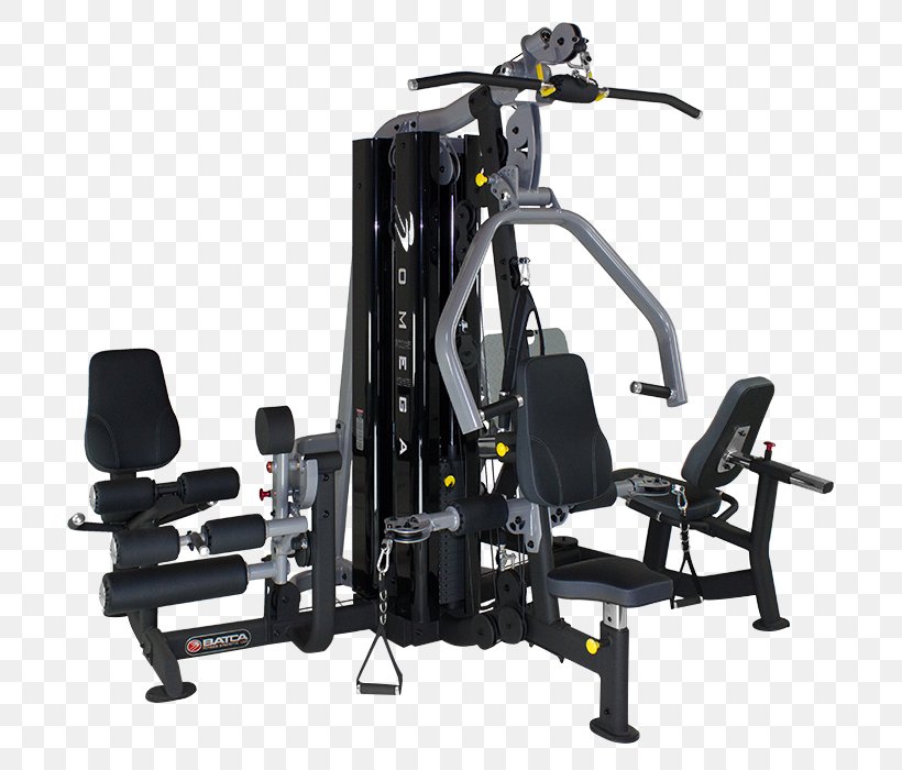 Bell's Sporting Goods, Inc. Fitness Centre Exercise Equipment Physical Fitness, PNG, 700x700px, Fitness Centre, Aerobic Exercise, Chinup, Dip, Elliptical Trainers Download Free