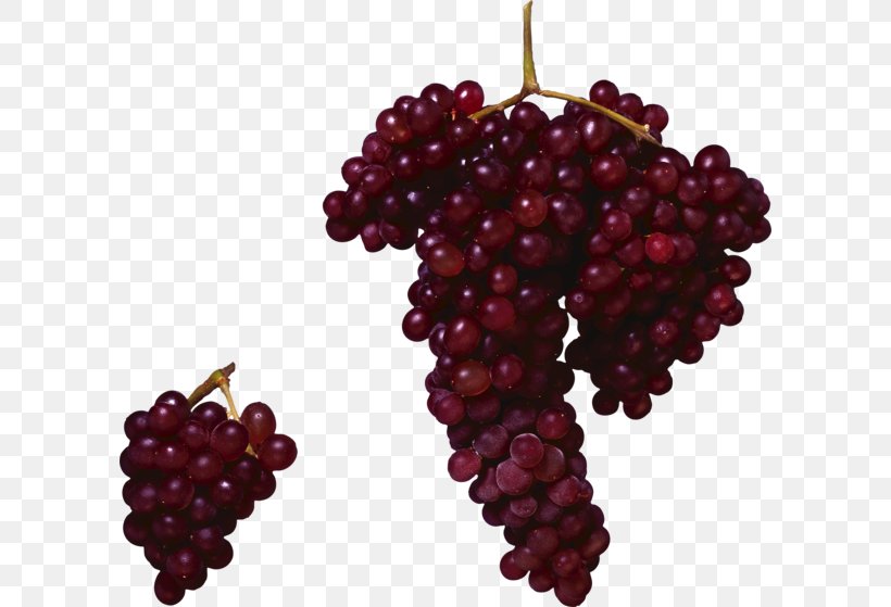 Common Grape Vine Zante Currant Grape Seed Oil, PNG, 600x559px, Grape, Berry, Boysenberry, Common Grape Vine, Flowering Plant Download Free