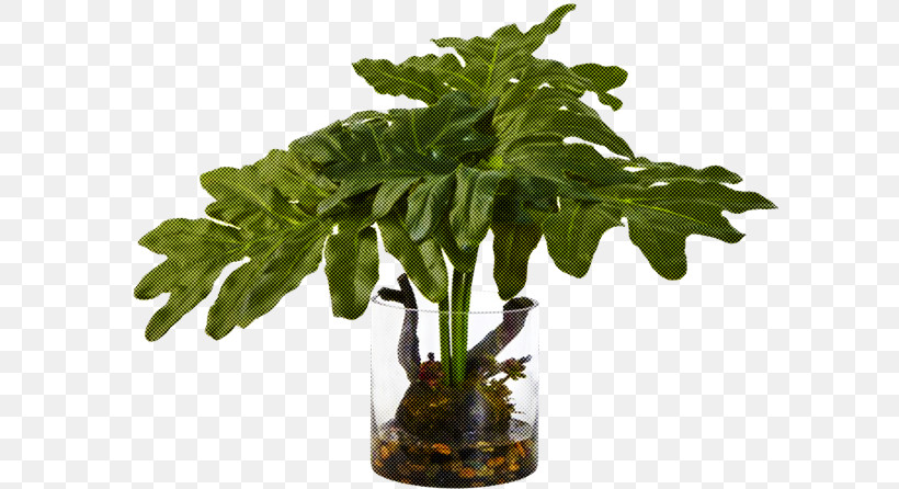 Flowerpot Plant Flower Leaf Houseplant, PNG, 600x446px, Flowerpot, Alismatales, Aquarium Decor, Arum Family, Flower Download Free