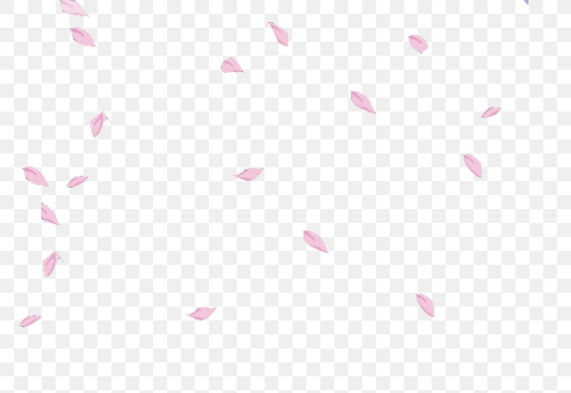 Petal Cherry Blossom Flower Image, PNG, 768x564px, Petal, Blossom, Branch, Cherry Blossom, Close Up Download Free